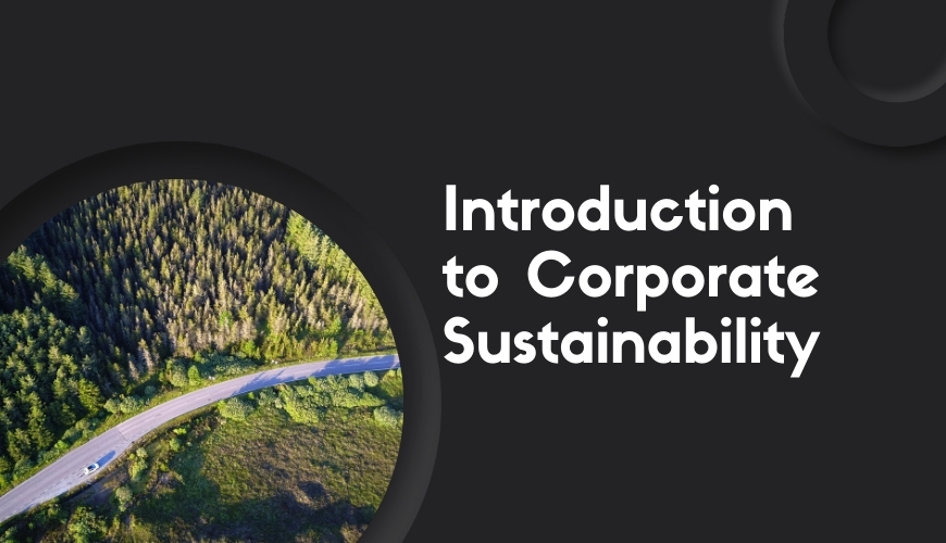 Introduction to Corporate Sustainability